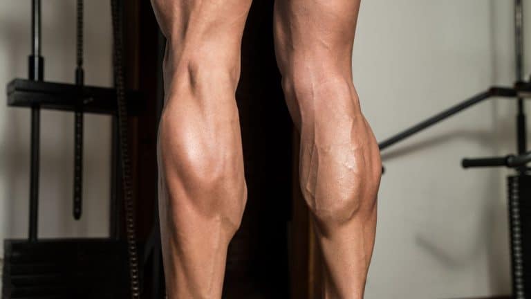 Best Calf Exercises feature image