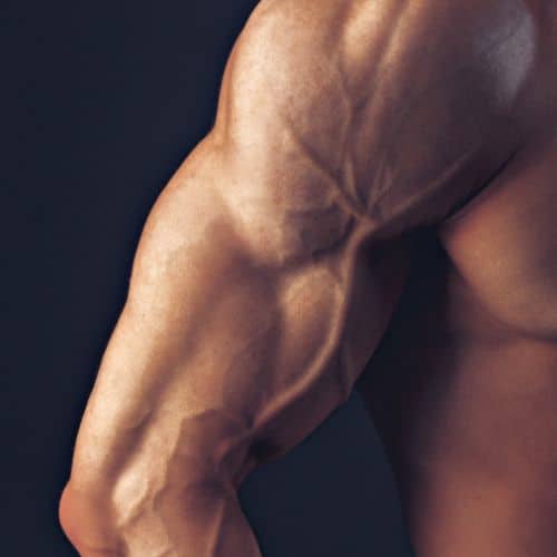 arm muscle growth